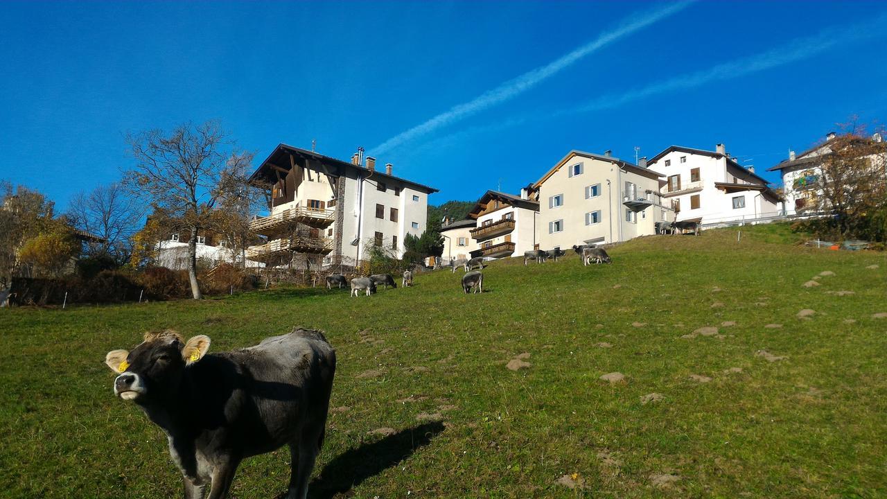 Il Cardo Trentino Leilighet Bedollo Eksteriør bilde