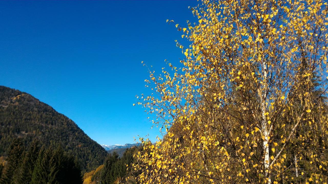 Il Cardo Trentino Leilighet Bedollo Eksteriør bilde