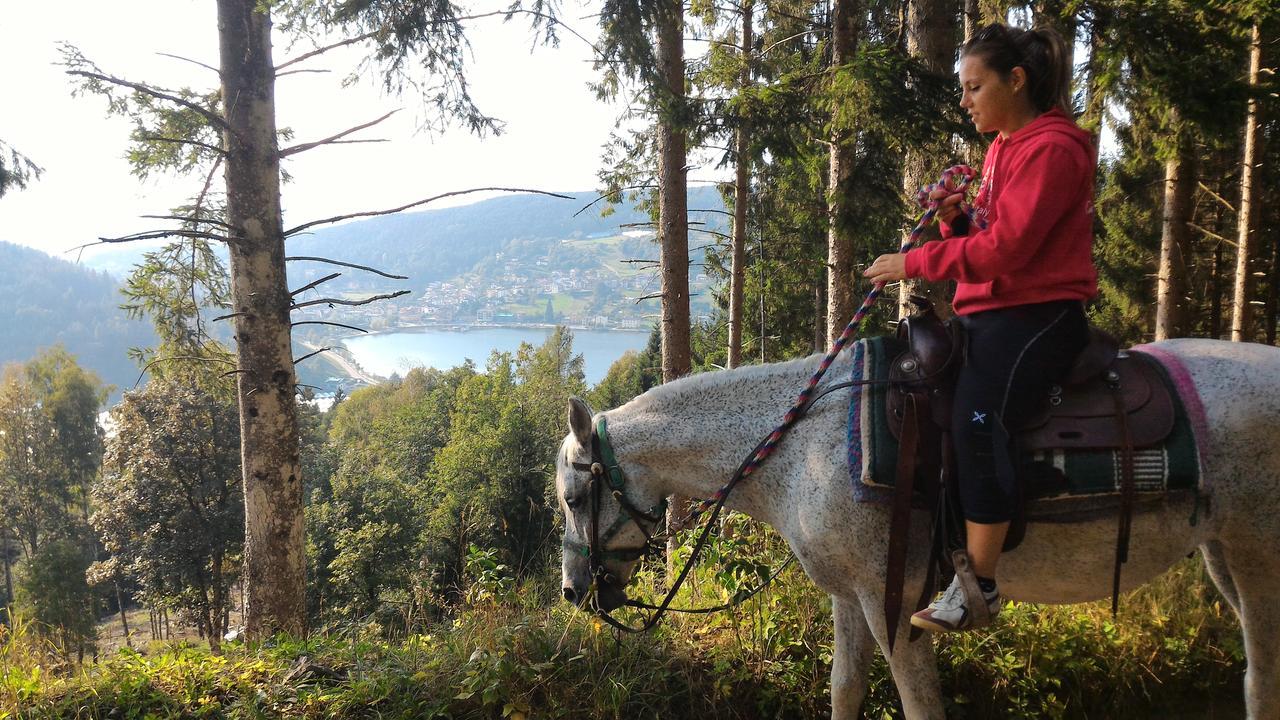 Il Cardo Trentino Leilighet Bedollo Eksteriør bilde