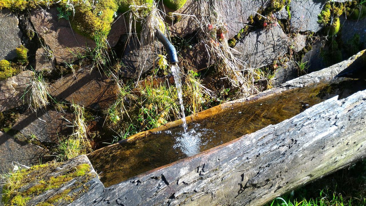 Il Cardo Trentino Leilighet Bedollo Eksteriør bilde