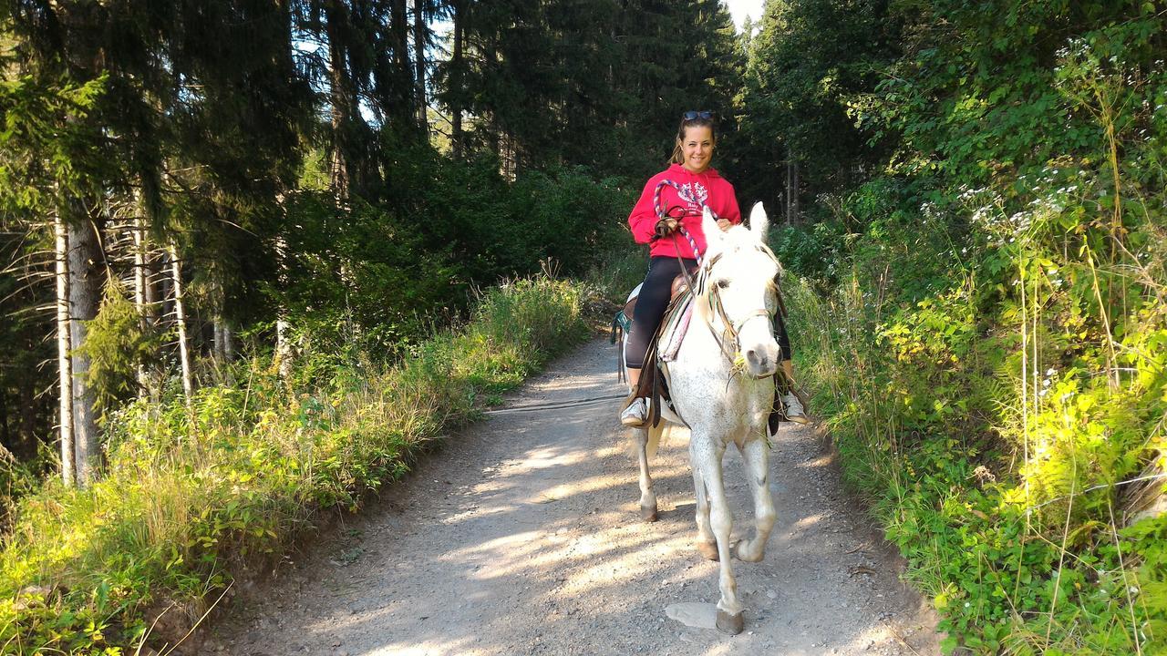 Il Cardo Trentino Leilighet Bedollo Eksteriør bilde