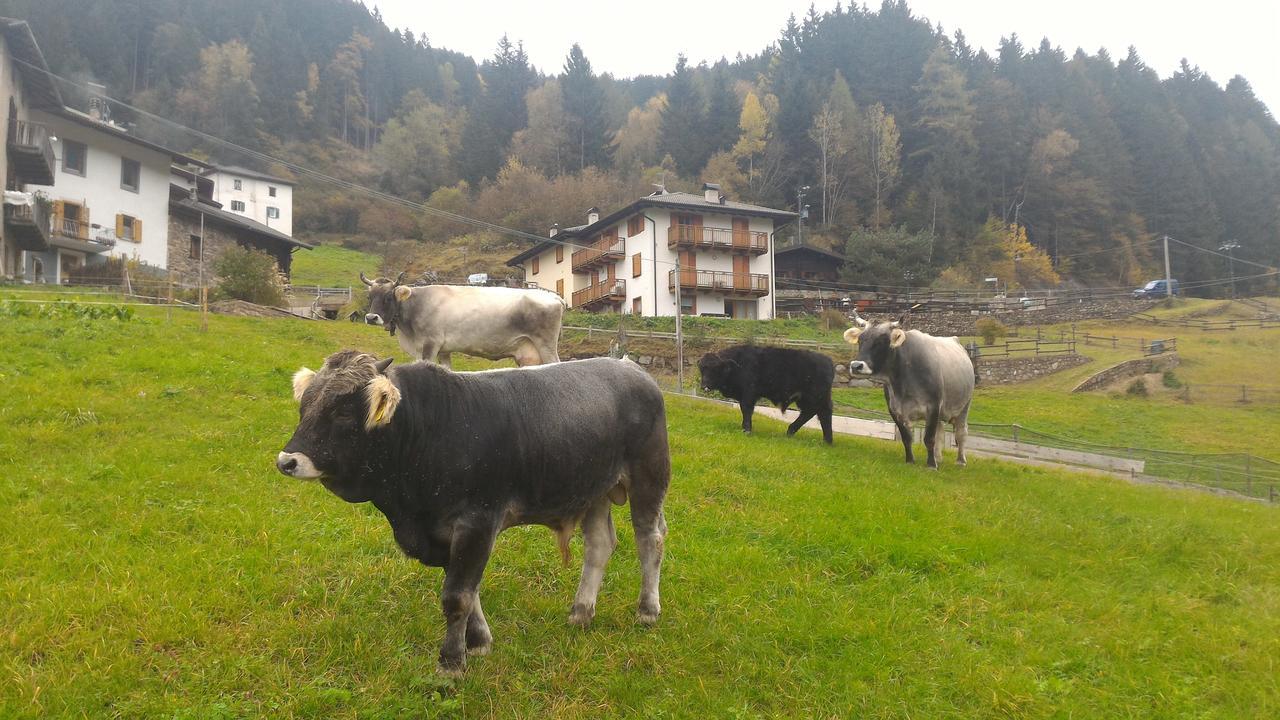 Il Cardo Trentino Leilighet Bedollo Eksteriør bilde