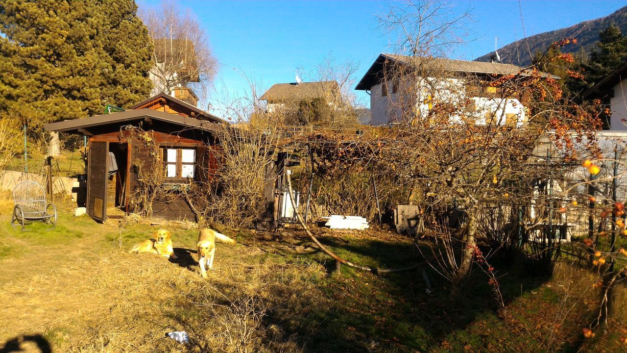 Il Cardo Trentino Leilighet Bedollo Eksteriør bilde