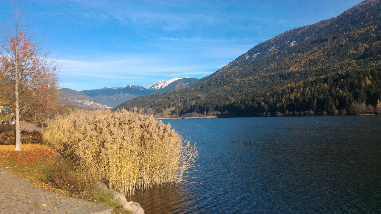 Il Cardo Trentino Leilighet Bedollo Eksteriør bilde